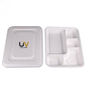 Biodegradable disposable bagasse lunch container