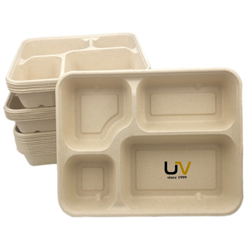 Disposable compostable sugar cane bagasee school lunch tray