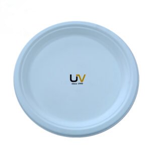 10inch round plate