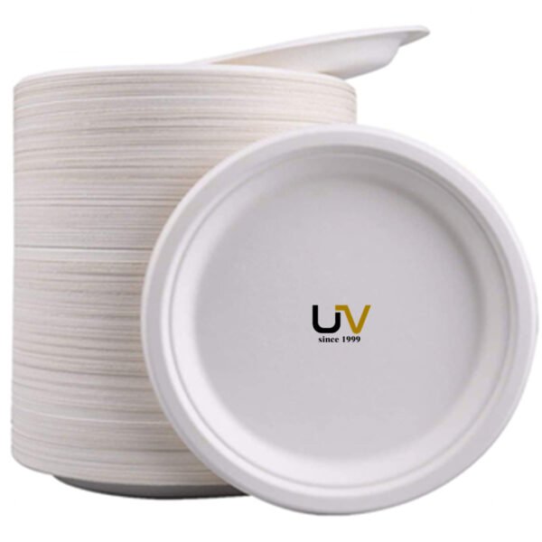 Wholesale disposable sugarcane bagasse plate dishes for wedding