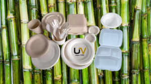 why use bagasse pulp disposable tableware