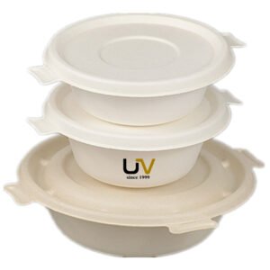 Biodegradable Sugarcane Bagasse Bowl