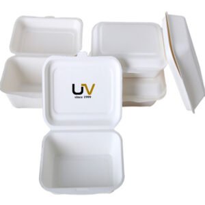 Biodegradable Bagasse Clamshell Box