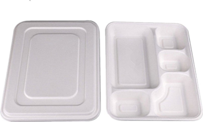 5 compartments compostable lunch trays