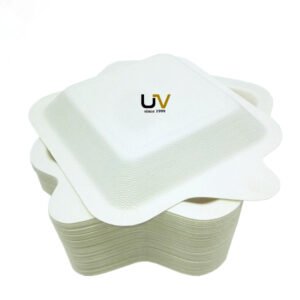 Disposable biodegradable take away cake plate for birthday party