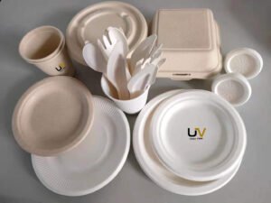 biodegradable sugarcane tableware