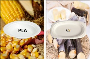 Biodegradable PLA tableware and compostable sugarcane bagasse lunch box