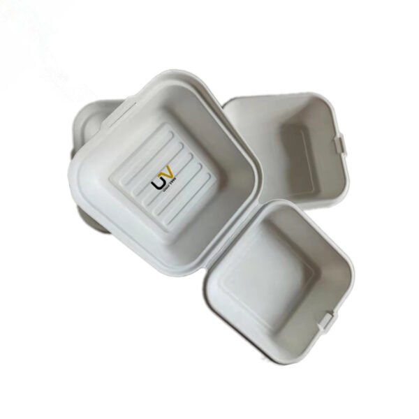 Compostable bagasse pulp takeaway food box