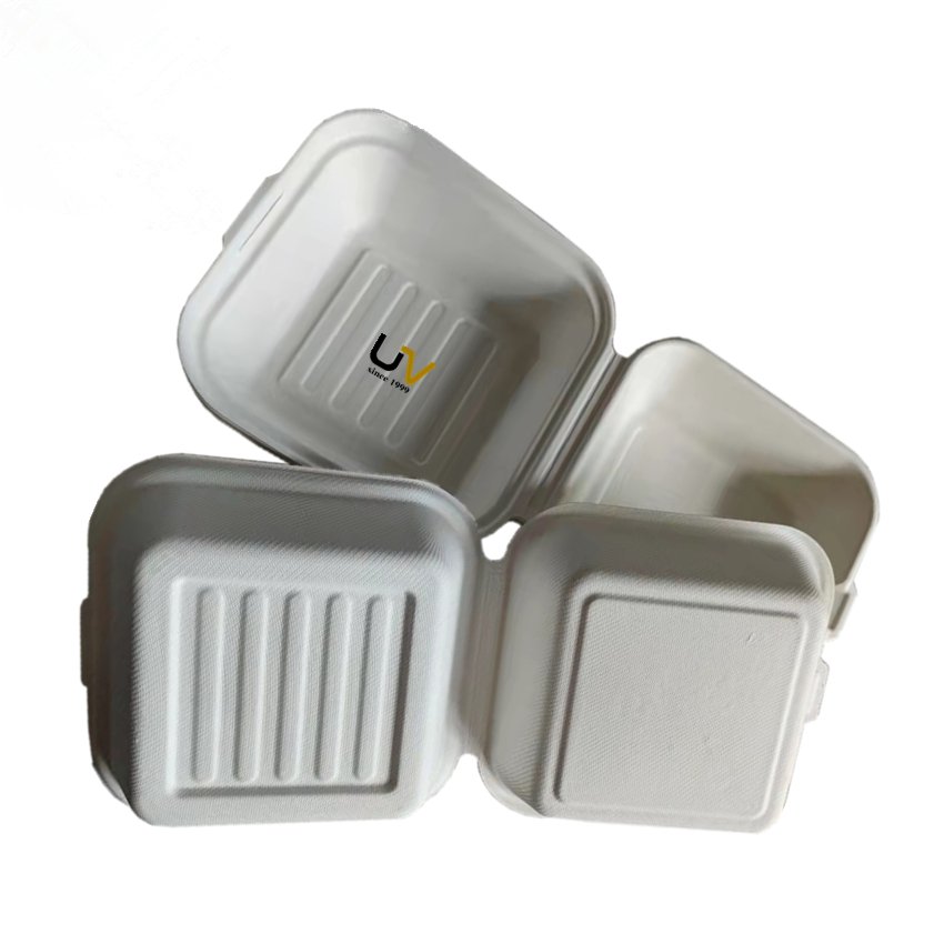 Compostable sugarcane bagasse takeaway food container