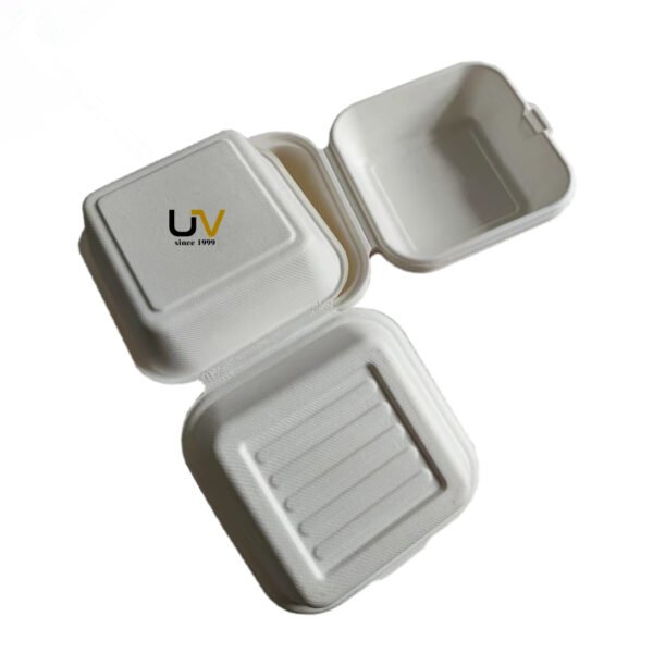 Unbleached biodegradable bagasse pulp take out food container