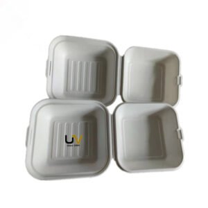 Unbleached compostable sugarcane bagasse pulp takeaway food container