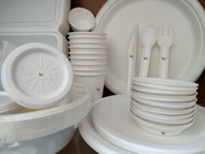 biodegradable bagasse tableware