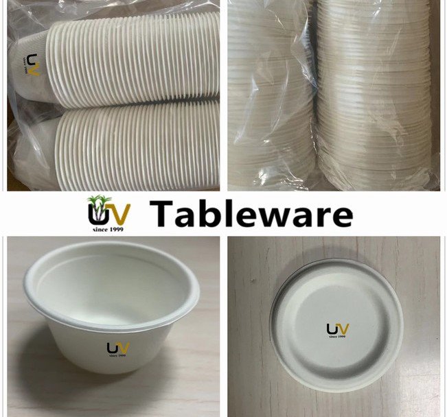 biodegradable pulp molded disposable tableware